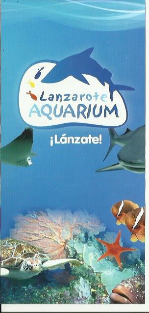 lanzarote aquarium lanzarote tours - Best Tours Lanzarote - Best Things To Do Lanzarote